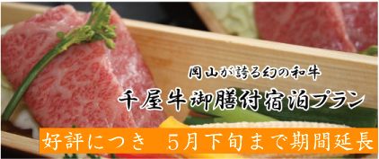 �牮����ȃv����